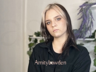 Amitybawden