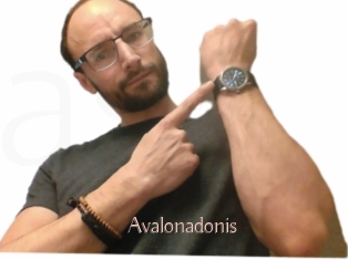 Avalonadonis