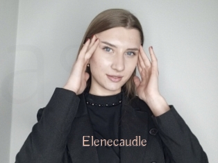 Elenecaudle