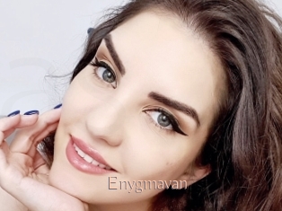 Enygmavan