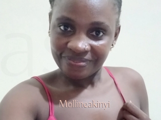 Mollineakinyi